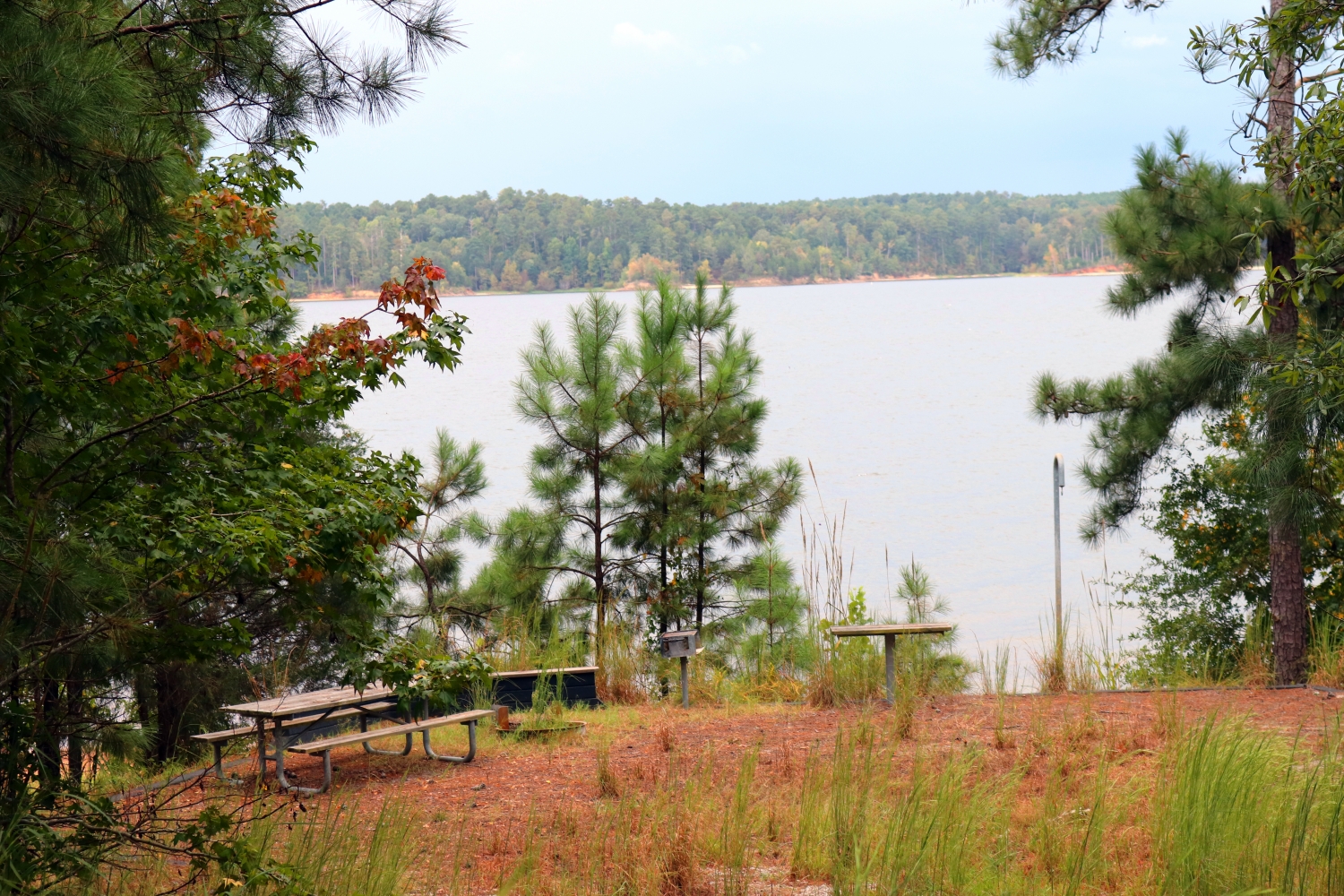 Mt. Carmel Mt. Carmel Campground Visitation for Business Freshwater